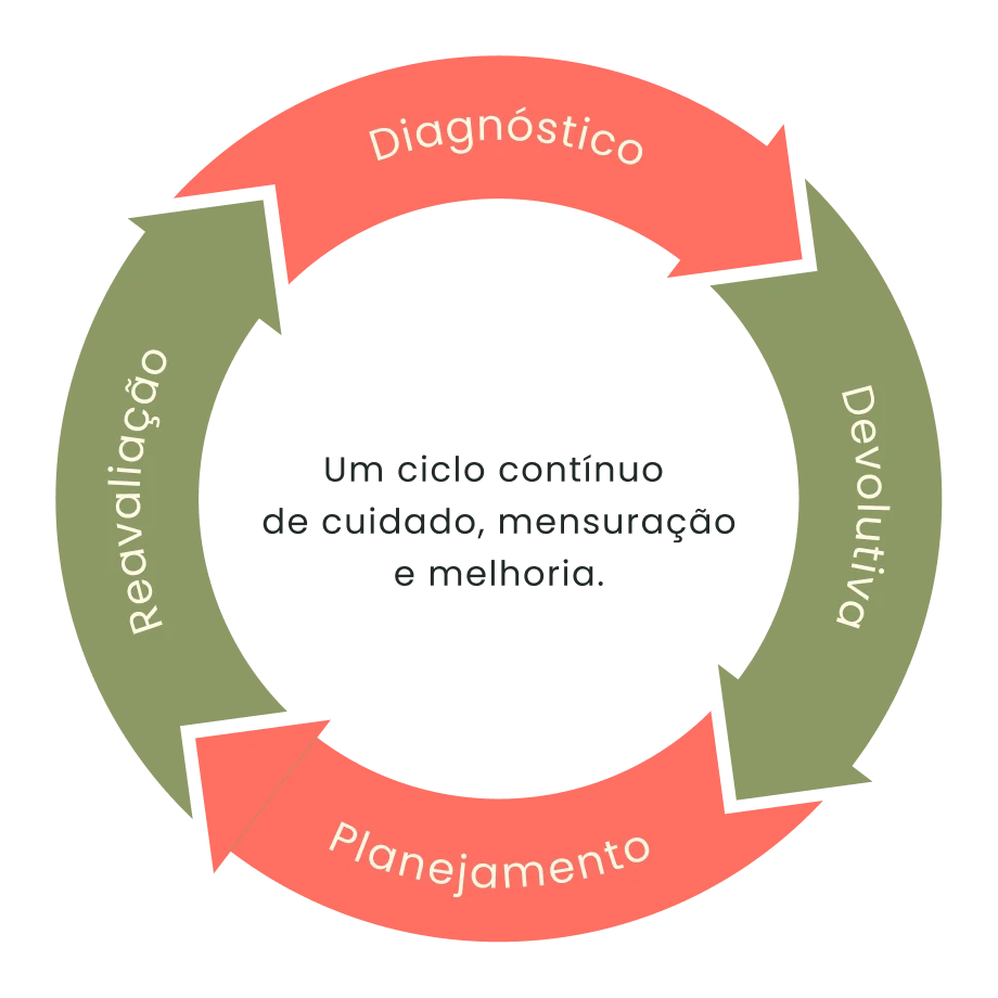 Ciclo contínuo de cuidado, mensuração e melhoria: Diagnóstico, Devolutiva, Planejamento e Reavaliação
